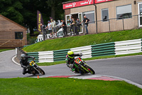 Lower Group Green Bikes